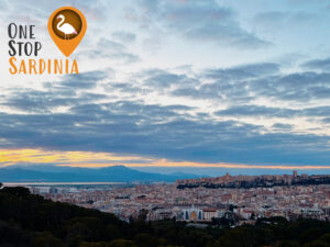 Panoramic view of Parco di Monte Urpinu in Cagliari, showcasing lush greenery and scenic landscapes with the city in the background.