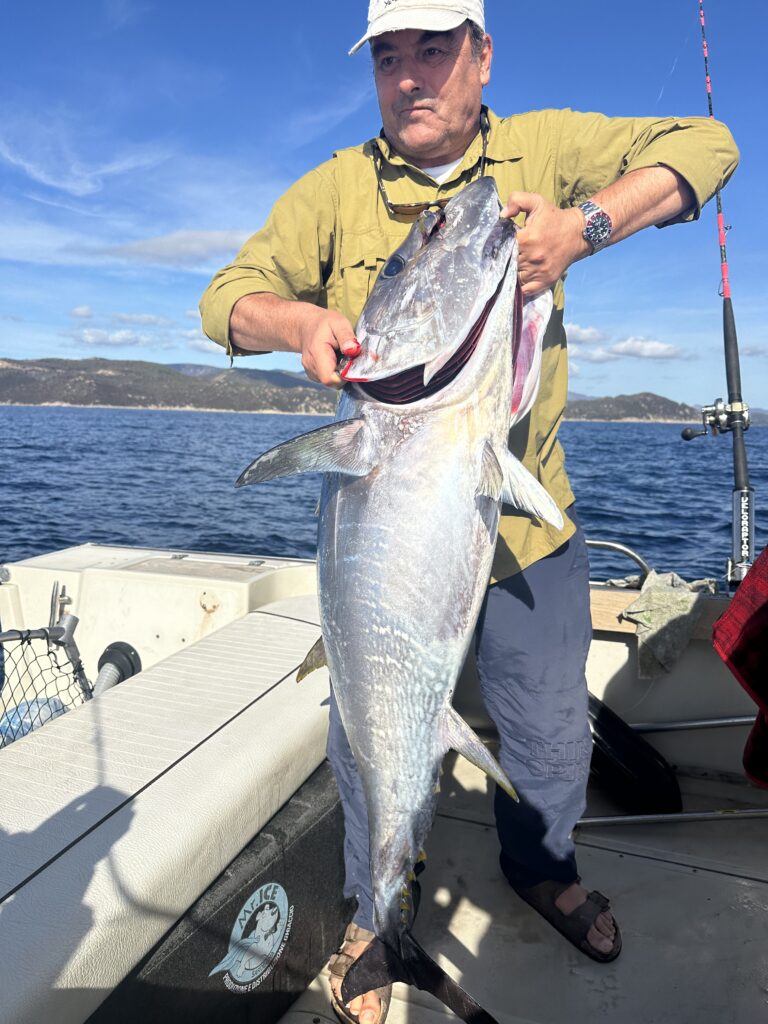 A man in cap holding a large fish more than half his size on a boat.